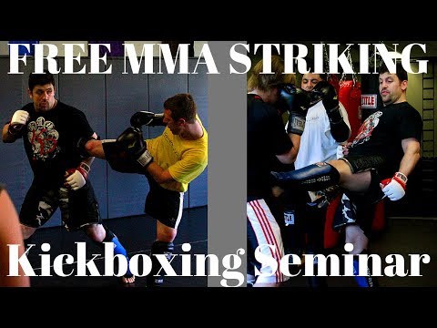 Best MMA & Catch Wrestling Seminar 1 Part 1 Striking Kickboxing!