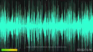 Stickin&#39; Chickens reversed.mp3