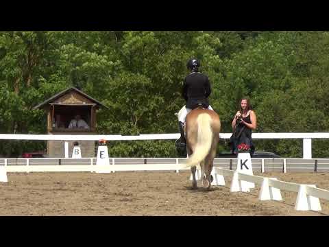 Michelle Gaber - Artax 13 - A - Maria Rain 2018