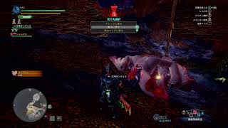 NAOのMHW:IB #25 はばたけ、・パオウルムー！