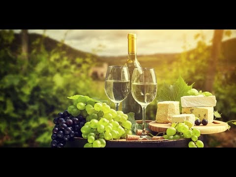 MOJE SELO: Vinski podrum Matalj na Bukovu, PLUS: saveti za uzgoj nektarina