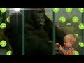 Baby S Day Out 1994 Movie Explained In Hindi Comedy Family Movie Summarized In हिंदी