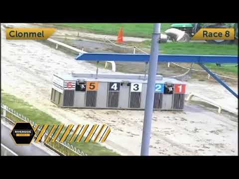 Newinn Session - Larry O'Rourke National Produce Stakes Rnd 2