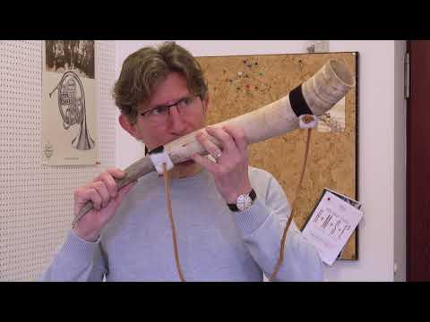 Der "Musikater" entdeckt die Musikschule