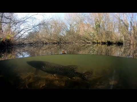 Beszéljük+: Vizeink védelme (8)