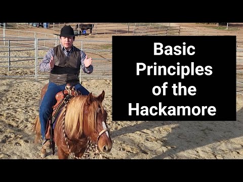 Basic Principles of the Hackamore (Bosal) - Horse Training