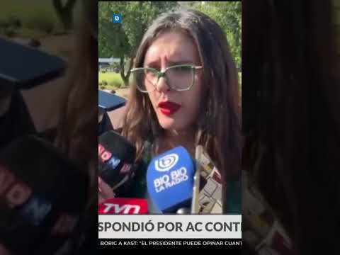 "No tiene mérito": Camila Vallejo tras confirmación de AC contra exministro Pardow