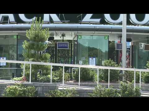 Turtle Back Zoo Animal Escape