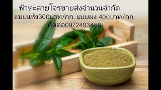 ขายส่งฟ้าทะลายโจร จำนวนจำกัด สนใจติดต่อ 0972493456