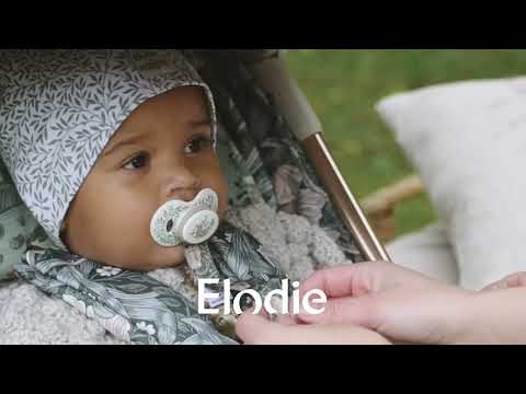 Elodie  - Standen  80*80 