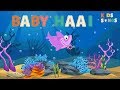 Baby Haai  (Baby Shark) - Kids Songs