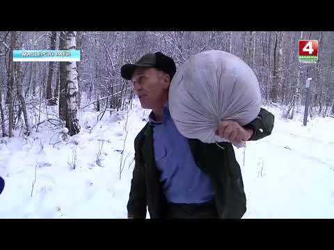 Мозырский лесхоз в зимний период подкармливает лесных жителей видео