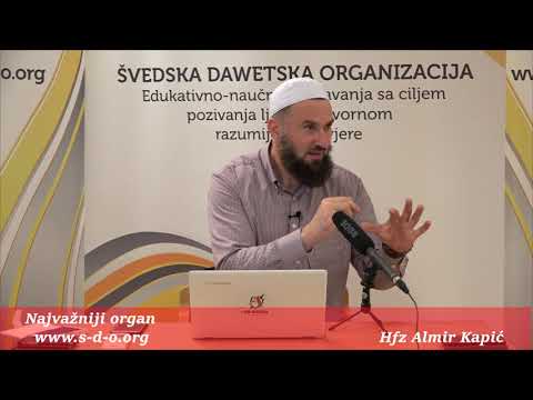Najvažniji organ u tijelu!  - hfz. Almir Kapić