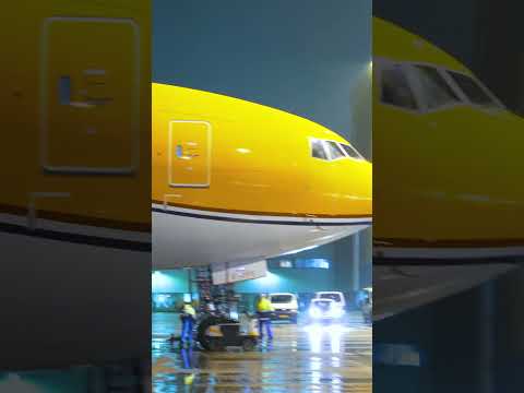 Look at her! 😍 Our Orange Pride shines in a stunning new orange coat 🧡💙 #KLM #OrangePride #Schiphol