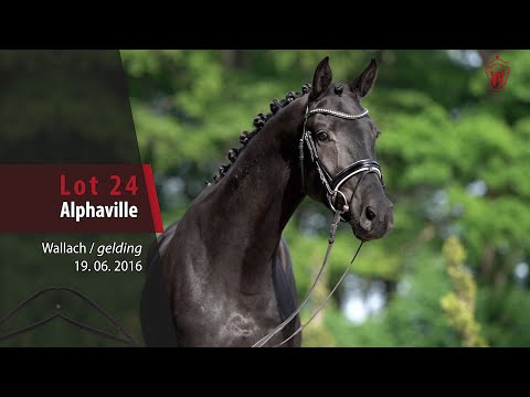 24 Alphaville Wallach v. Arango - Fürst Nymphenburg