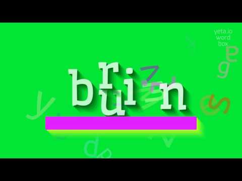 How to say "burin"! (High Quality Voices)