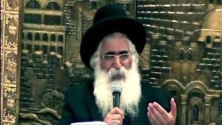 הרב יורם אברג'ל - המסר היומי –במעלות יהודה ויוסף –י''ב טבת תש''פ
