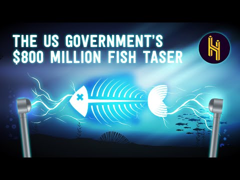 美国政府价值 8 亿美元的鱼泰瑟枪（The US Government's $800 Million Fish Taser）