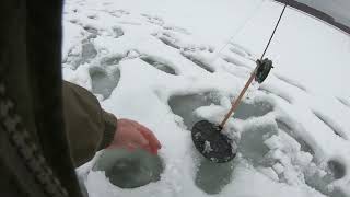 Отчет о рыбалке на яузском водохранилище апрель 2020
