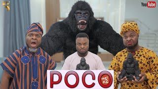 AFRICAN HOME: POCO THE GORILLA (PART 2)