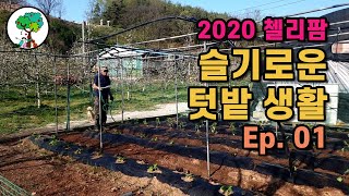 슬기로운 텃밭 생활 에피소드 1.  밭만들기부터 모종 심기 까지Garden Life Episode 1