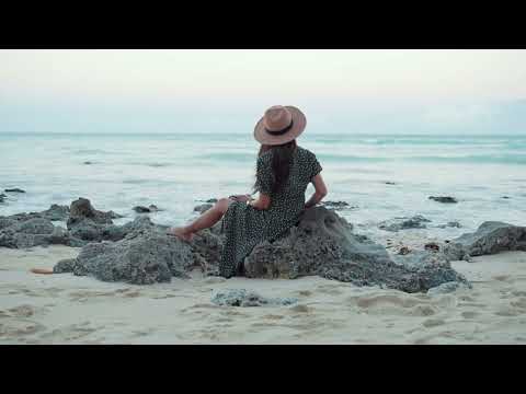 Timo Pralle - When We First Met (Andrew Fields Chillout Mix)