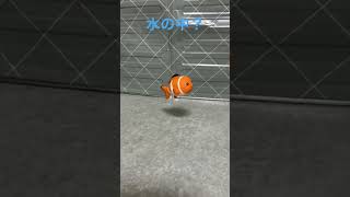 ここは水の中ですか？