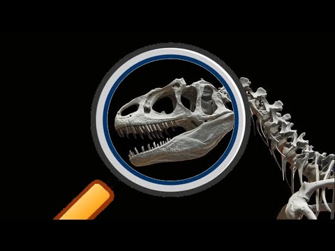 SHOULD EXTINCTZOO BE EXTINCT?