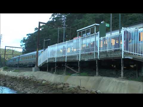 Coal or Wheat Train & XPT pass at Wondabyne station