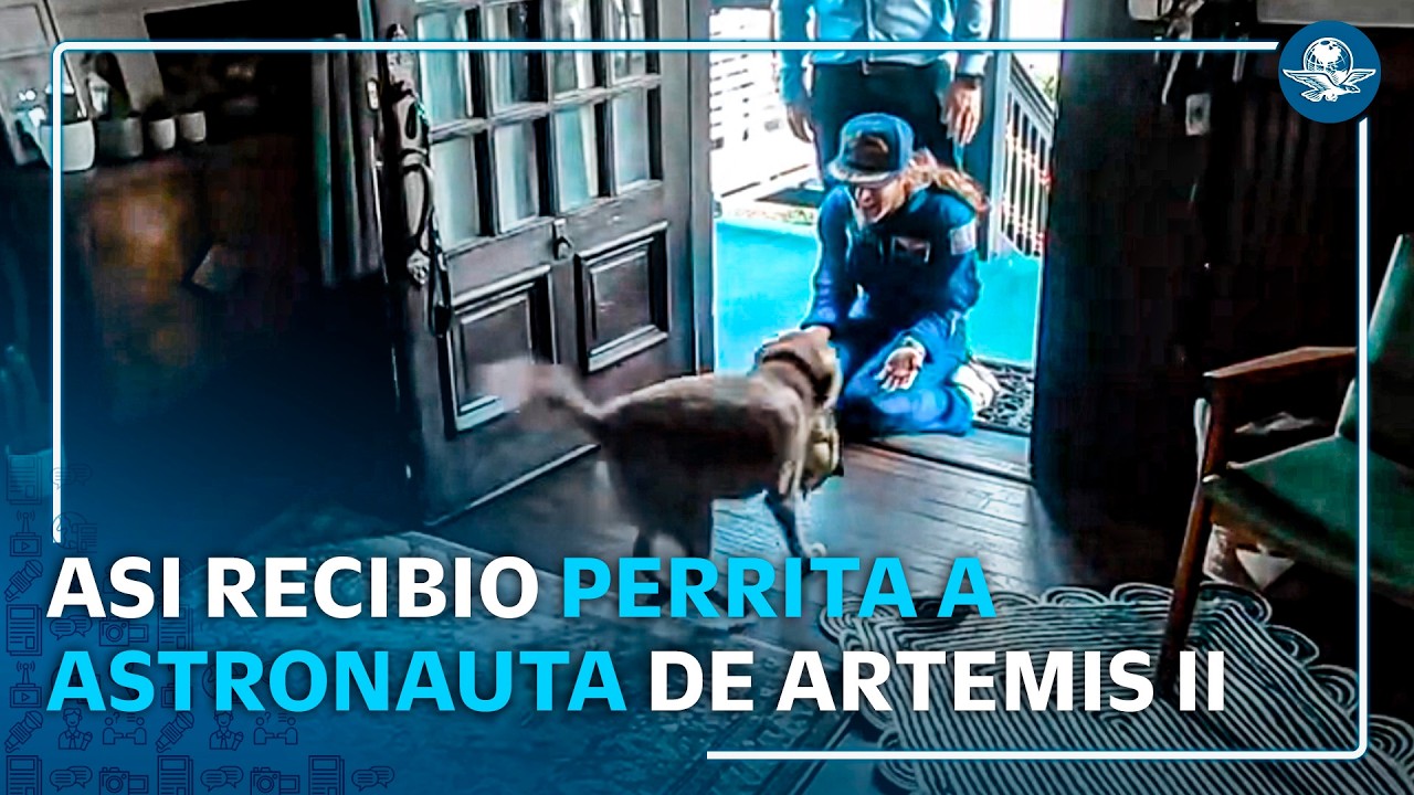 Astronauta de Artemis II se reencuentra con su perrita tras misión lunar