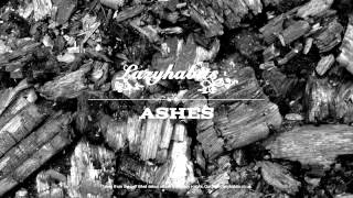 Lazy Habits - Ashes