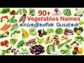 Vegetables Names In Tamil And English காய்கறிகள் Vegetables Name With Pictures V