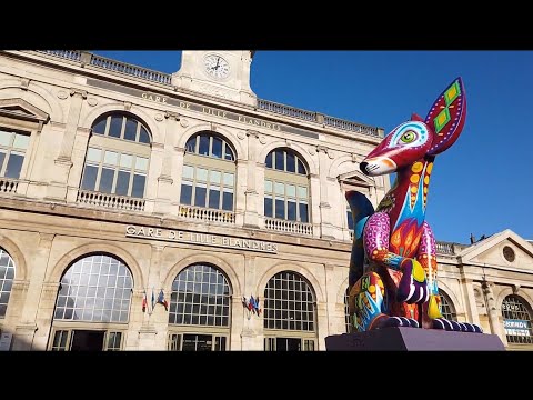*** Walking in LILLE ** France 🇫🇷 * Evening Tour * 4K 60fps UHD ** Caminhando em LILLE ** FRANÇA ***