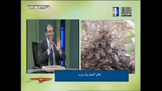 لقاء تلفزيوني مع ا د / محمد عبد الفتاح شبل