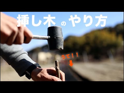 挿し木の成長を促進するアイデアはありますか？柳の水で水をやれますか？  庭園