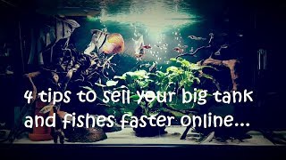 How to sell your fish tank faster online