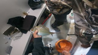 NYC-Porgy, spot and atlantic croaker fishing on the Marilyn jean IV @brothersinbait @FishGuts73