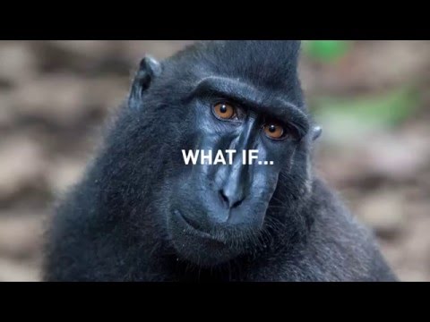 SOS - Help save species & sustain livelihoods!