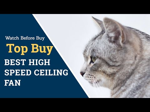 How To Control Cat Dander | How To Prevent Pet Dander 2020