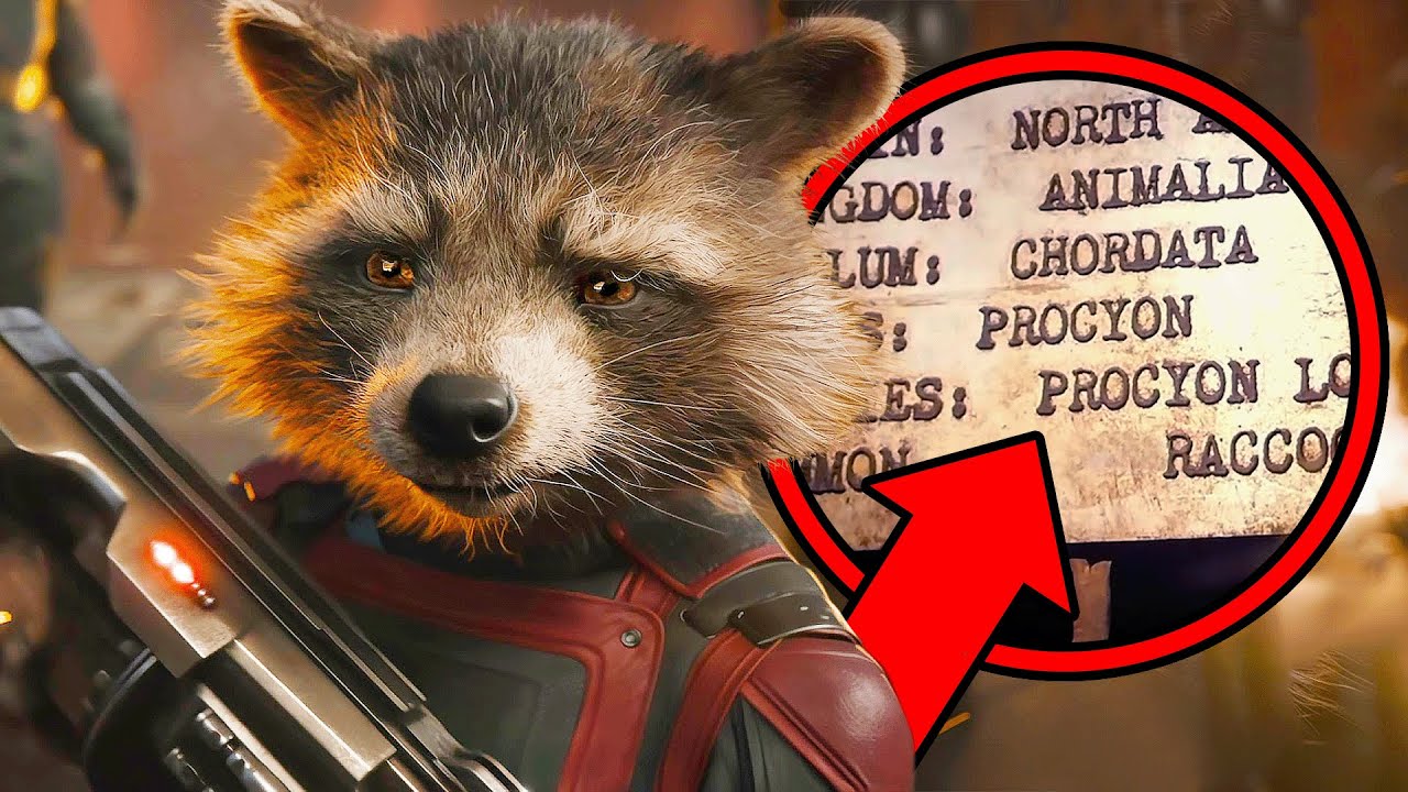 TODOS os EASTER EGGS de GUARDIÕES DA GALÁXIA 3 🦝