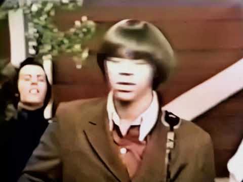 NEW * Pushin' Too Hard - The Seeds {Stereo} 1967