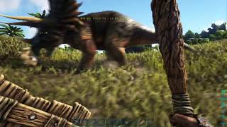【PS4 ARK】#9 班長 ｼｬﾝﾋﾟ トリケラトプスをギリギリ仲間に！！