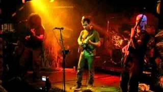 Cynic - Focus - Textures