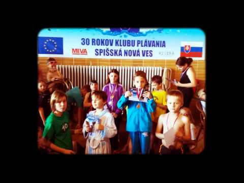 Vianočná hviezda 2014
