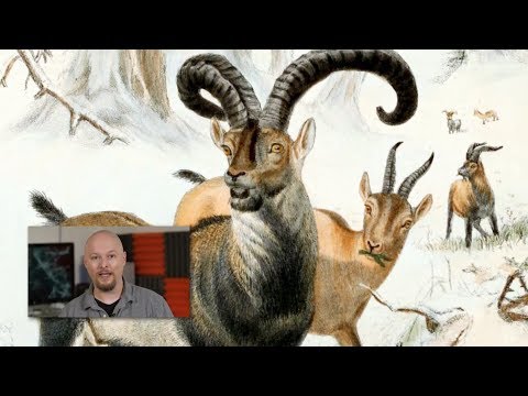 Extinct Animals Brought Back to LIFE?!