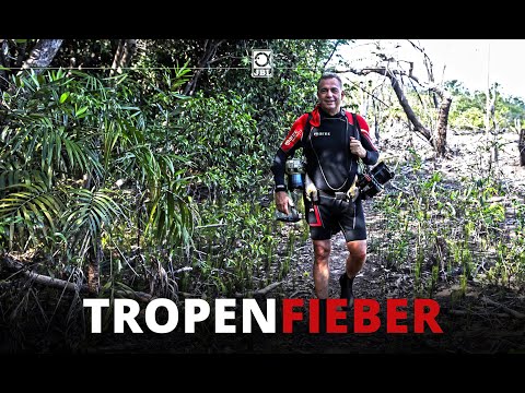 TROPENFIEBER: JBL Expeditionen - Forschung. Rückblick. Erlebnisse.