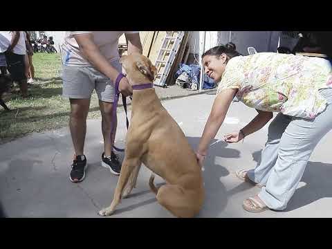 Barrio Mosconi: Con la presencia del Gobernador y del Intendente se realizó una nueva edición de “La Muni en tu Barrio