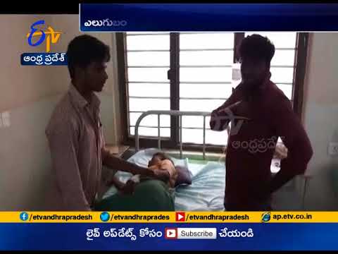 Bear Hulchul at Rayadurgam | 3 injured