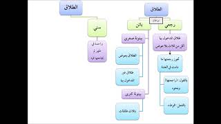 صورة فقه الأسرة (23) تقاسيم للطلاق - عامر بهجت - التأهيل الفقهي