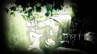 La Vie ne m'apprend rien - guitar cover (instrumental) - Daniel Balavoine (Full HD)